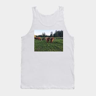 Scottish Highland Cattle Calves 1825 Tank Top